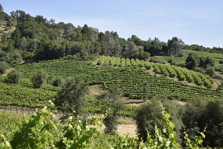 Apple Hill Wine Tasting Tours And Placerville wine tasting tours - Photo 1 of 12